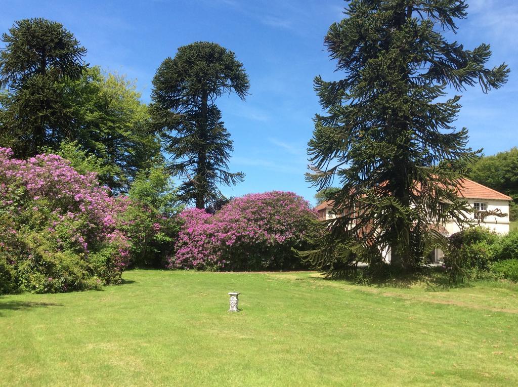 Bed and Breakfast Moorlands Parracombe Esterno foto