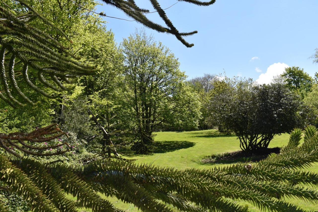 Bed and Breakfast Moorlands Parracombe Esterno foto