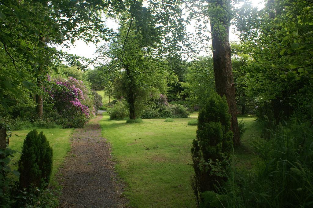 Bed and Breakfast Moorlands Parracombe Esterno foto
