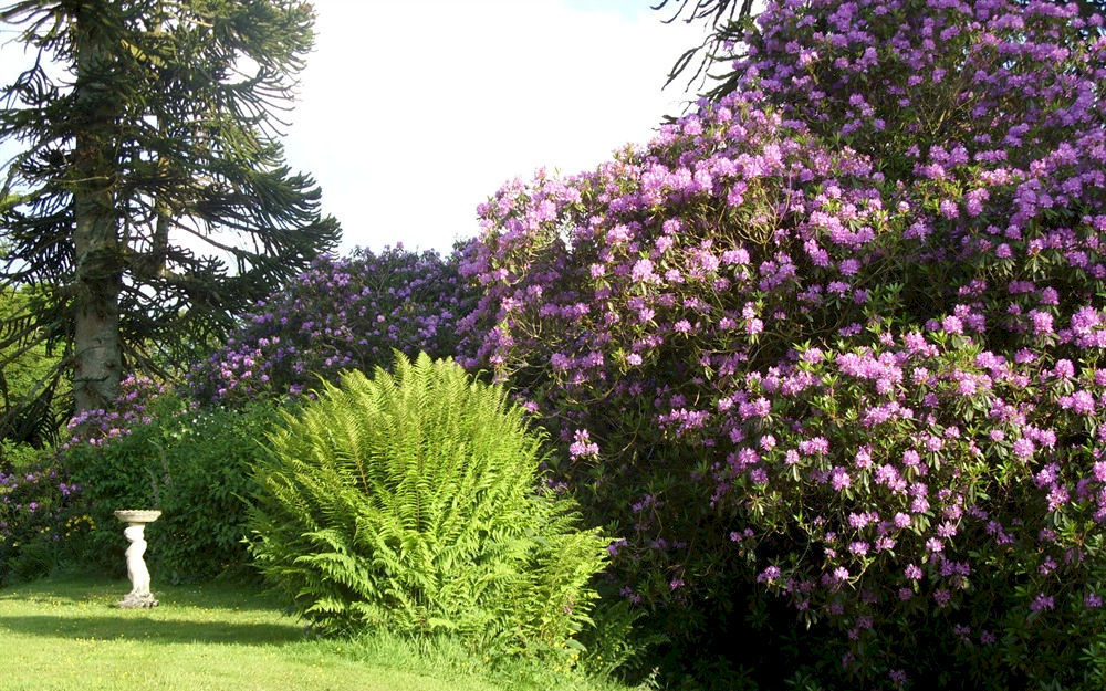 Bed and Breakfast Moorlands Parracombe Esterno foto