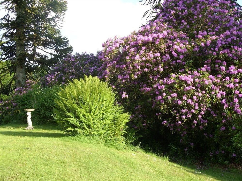 Bed and Breakfast Moorlands Parracombe Esterno foto