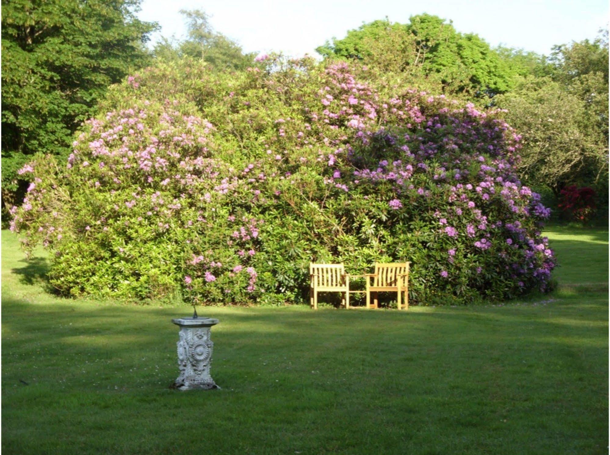 Bed and Breakfast Moorlands Parracombe Esterno foto